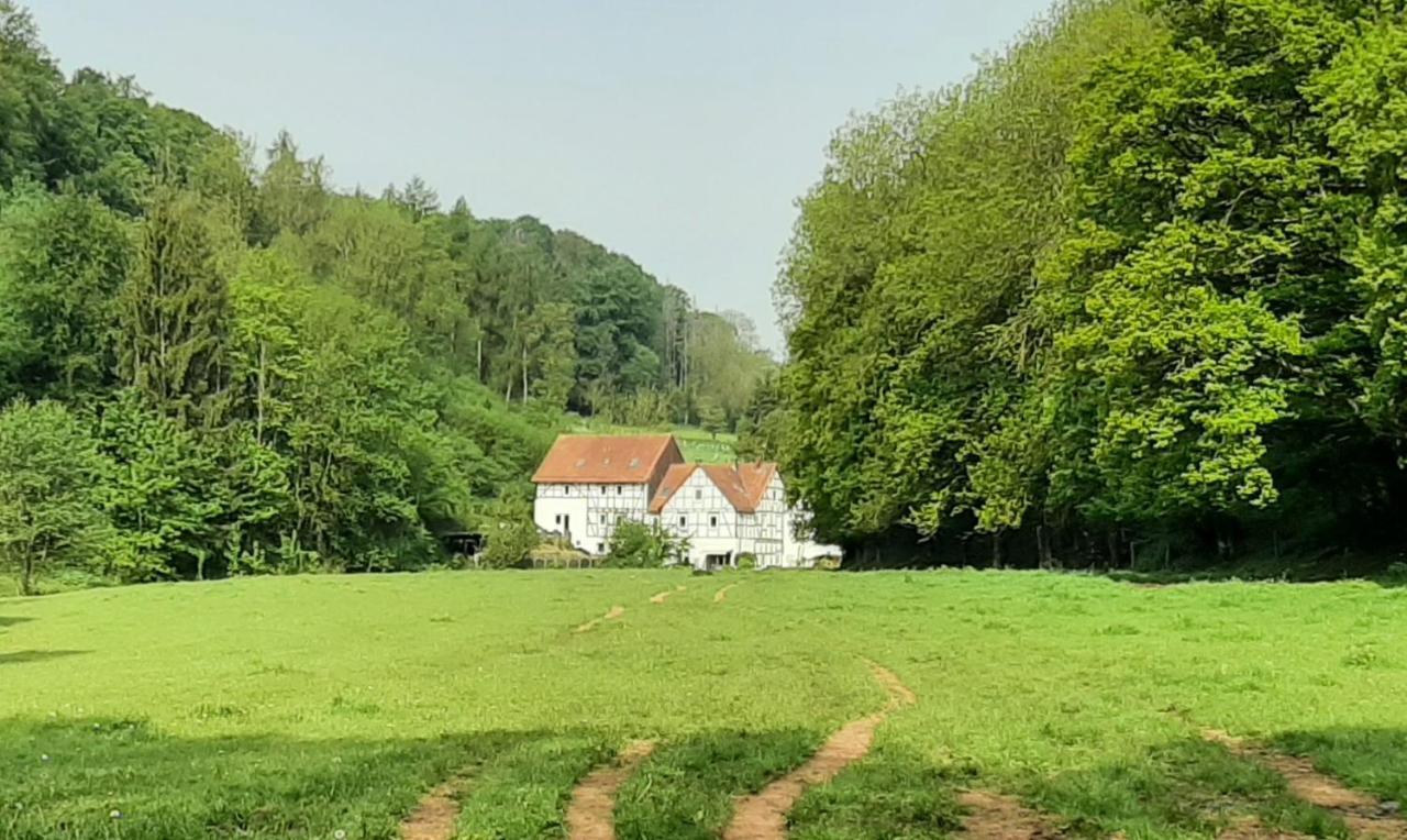 Appartamento Haus An Der Werbe Waldeck  Esterno foto